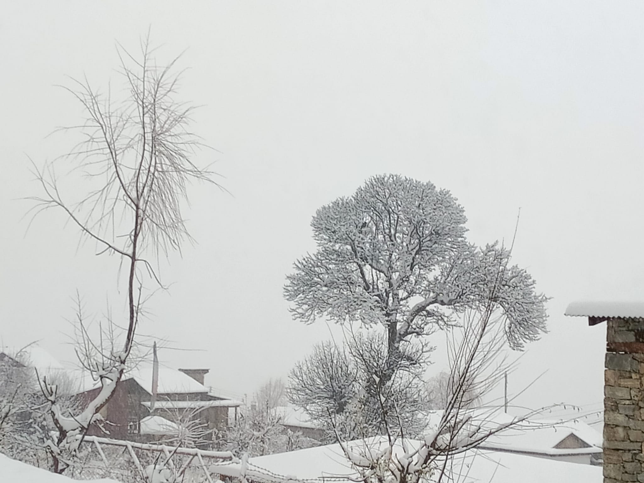 हुम्लामा भारी हिमपात, तापक्रम माइनस १२ डिग्री